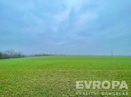 Prodej - pozemek, trvalý travní porost, 5 370 m²