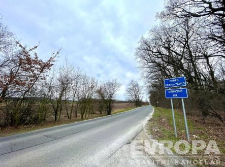 Prodej - pozemek, trvalý travní porost, 5 249 m²