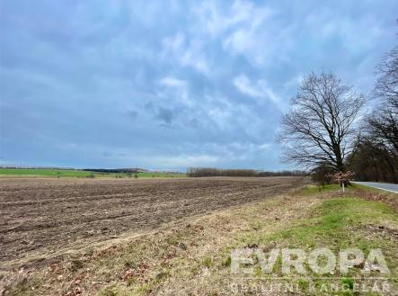 Prodej - pozemek, trvalý travní porost, 5 249 m²