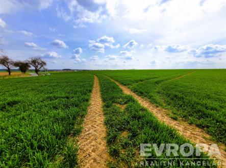 Prodej pozemku, zemědělská půda, 27 281 m²