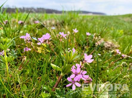 Prodej pozemku, zemědělská půda, 27 281 m²