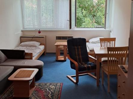 Pronájem bytu, 1+kk, 25 m²