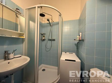 Pronájem bytu, 1+kk, 25 m²