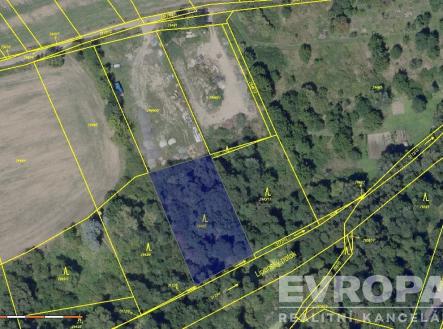 Prodej pozemku, les, 2 166 m²