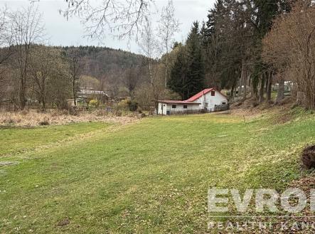 Prodej pozemku, trvalý travní porost, 1 001 m²