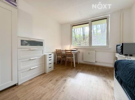 Pronájem bytu, 1+kk, 20 m²