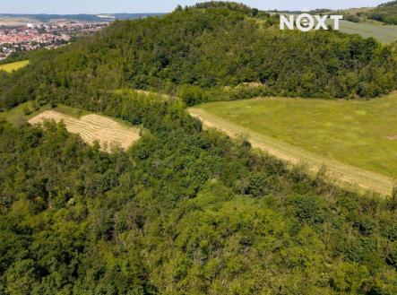 Prodej pozemku, zahrada, 8 724 m²