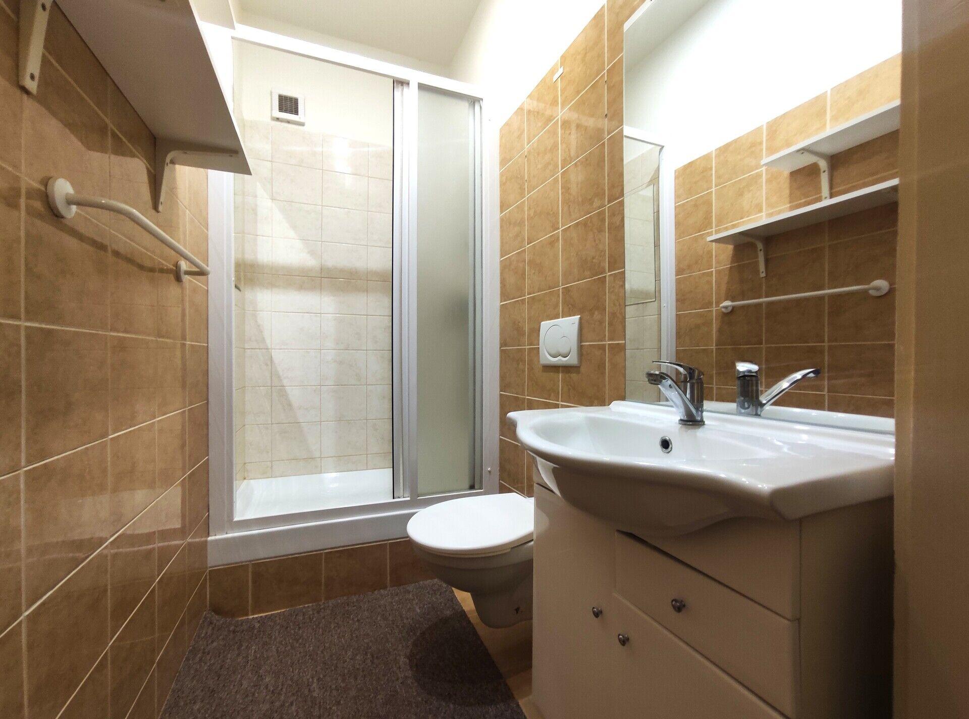 Pronájem bytu 1+1, 41 m², s klimatizací, Daliborova, Ostrava - Mar. Hory