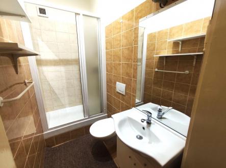 Pronájem bytu, 1+1, 41 m²
