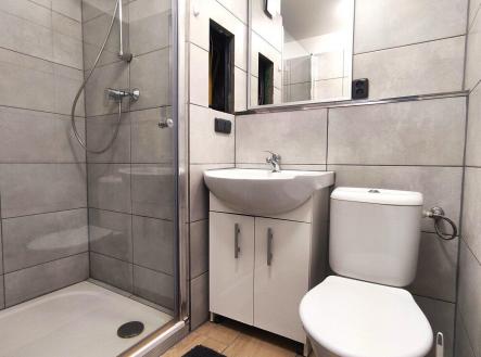 Pronájem bytu, 1+kk, 30 m²