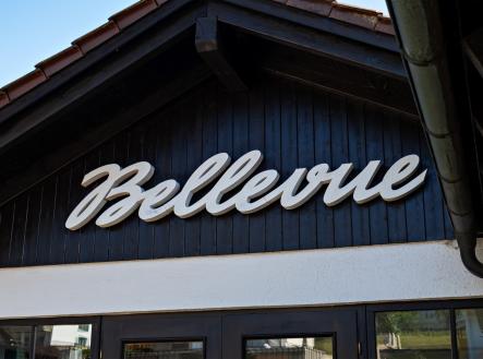 Bellevue_update_28