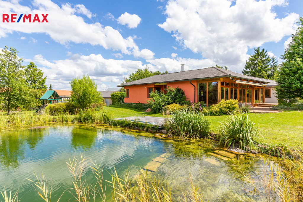 pohled ze zahrady s jezírkem