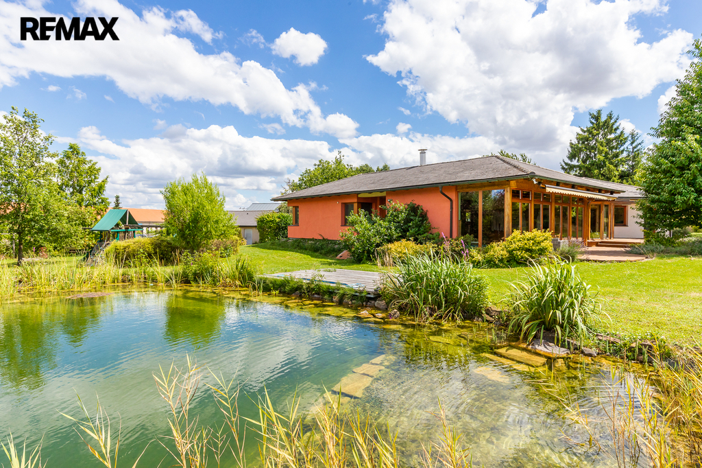 pohled ze zahrady s jezírkem