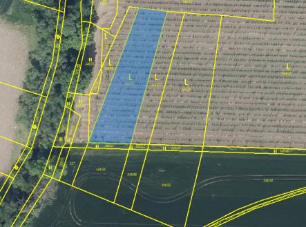 Prodej pozemku, zemědělská půda, 3 165 m²