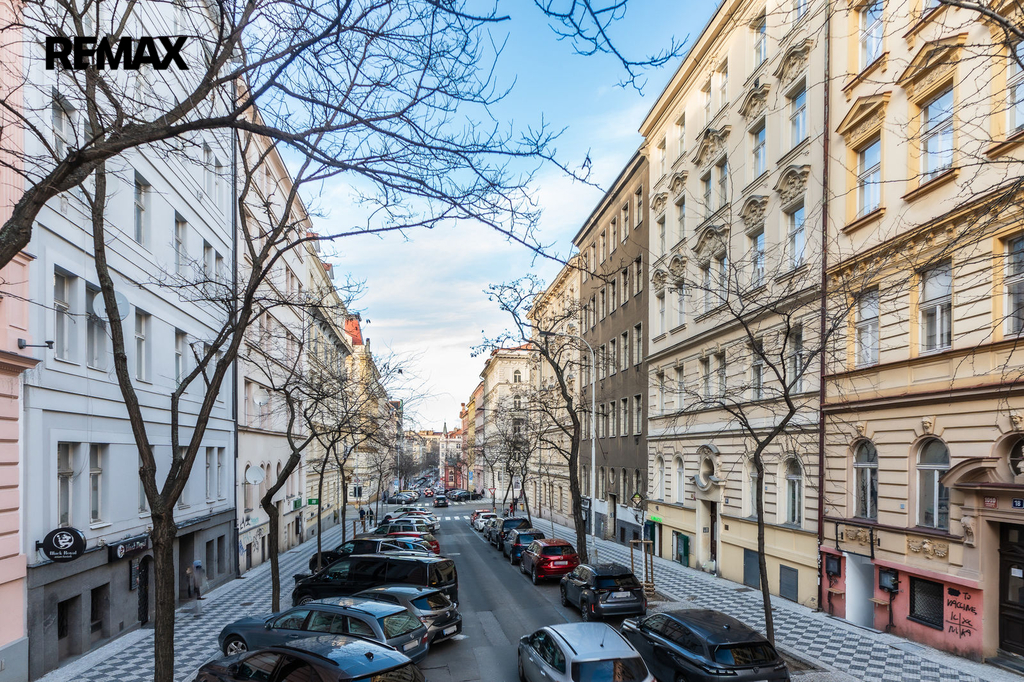 gutlova-budecskadsc07937.jpg