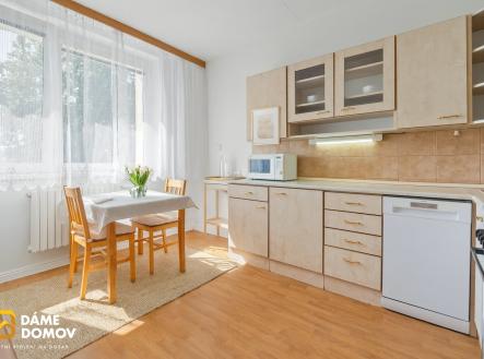Pronájem bytu, 1+1, 48 m²