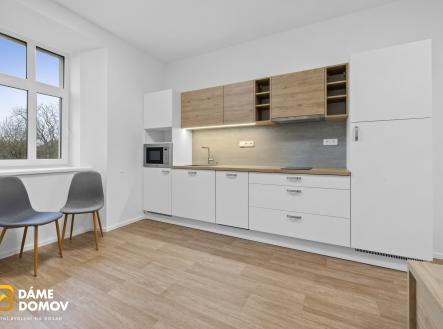 Pronájem bytu, 1+kk, 75 m²
