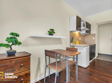 Pronájem bytu, 1+kk, 24 m²