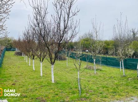 Prodej pozemku, zahrada, 1 001 m²