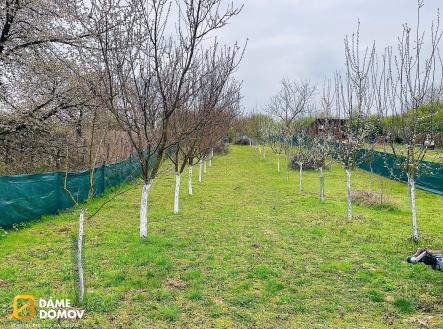 Prodej pozemku, zahrada, 1 001 m²