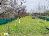 Prodej pozemku, zahrada, 1 001 m²