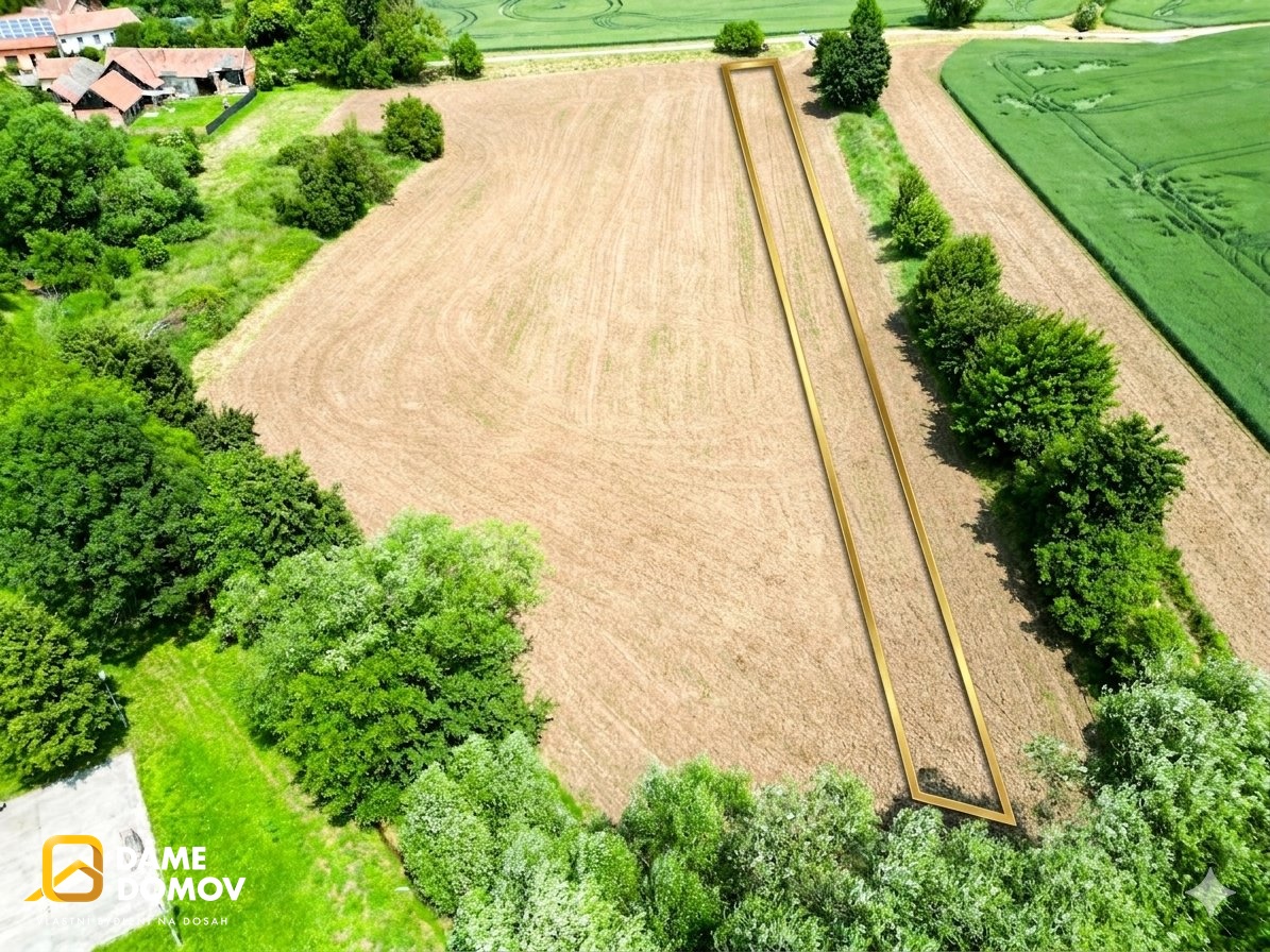 Gemini_Generated_Image_xyn0dsxyn0dsxyn0