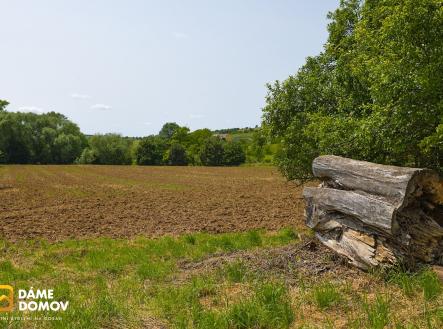 Prodej pozemku, ostatní, 553 m²