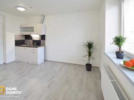 Pronájem bytu, 1+kk, 26 m²