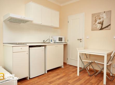 Pronájem bytu, 1+kk, 24 m²