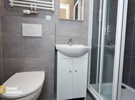 Pronájem bytu, 1+kk, 24 m²