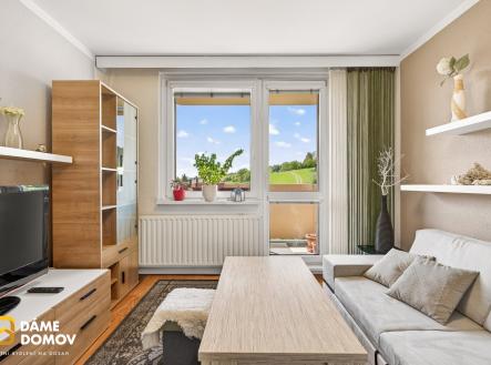 Prodej bytu, 2+1, 53 m²