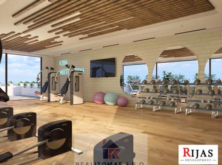 gym33.jpg