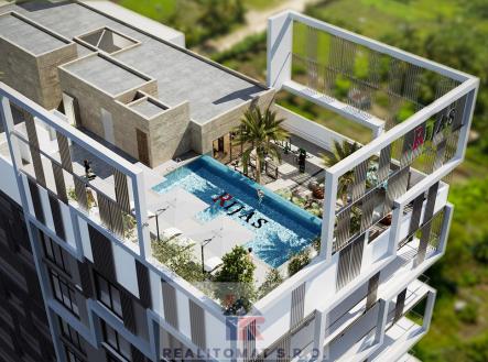 Orchid Casel de Paradise.