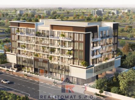 Orchid Casel de Paradise.