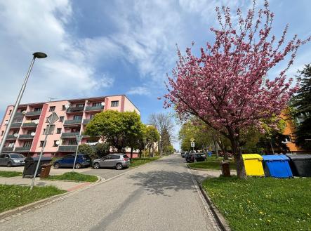 Prodej bytu, 4+1, 104 m²