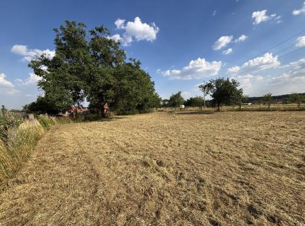 Prodej pozemku, zahrada, 2 387 m²