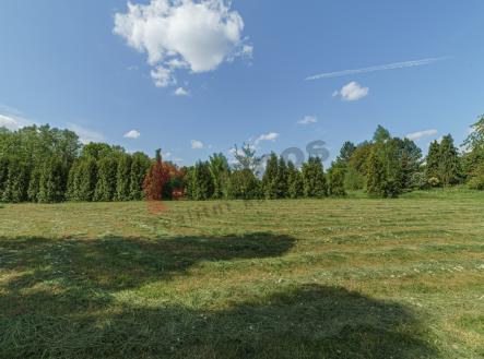 Prodej pozemku pro bydlení, 2 921 m²