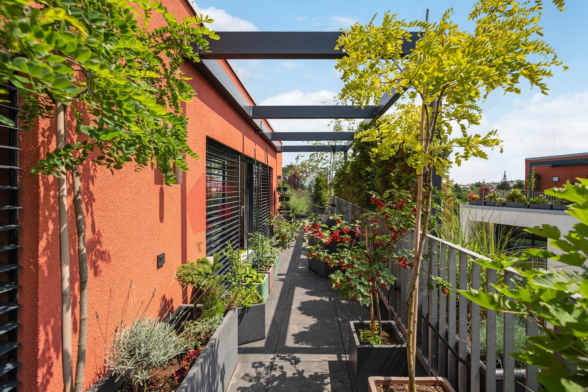 Prodej bytu 3+kk 73 m2 s terasou 71 m2 v Olomouci