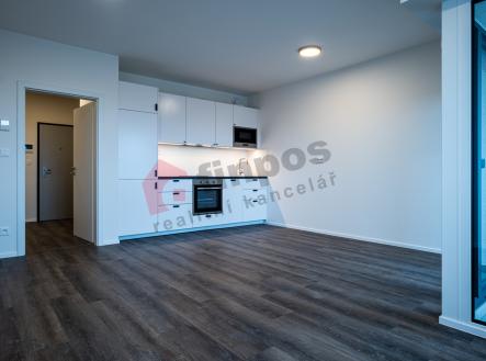 Pronájem bytu, 1+kk, 36 m²
