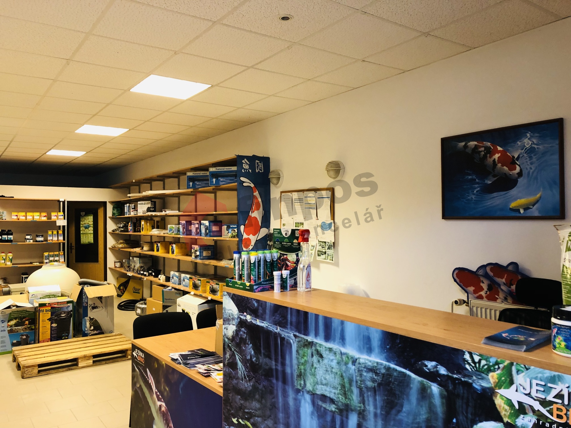 Pronájem obchodního prostoru 79 m2 v lokalitě Brno - Bohunice