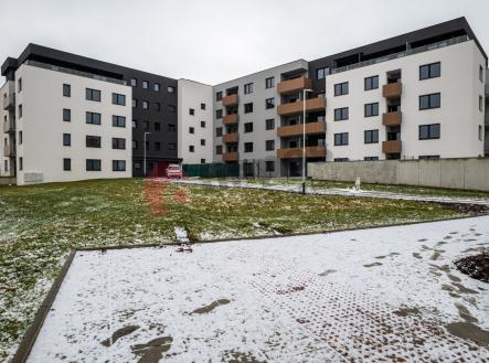 Pronájem bytu, 2+kk, 54 m²