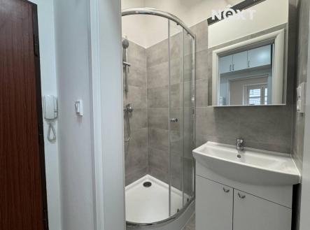 Pronájem bytu, 1+1, 28 m²