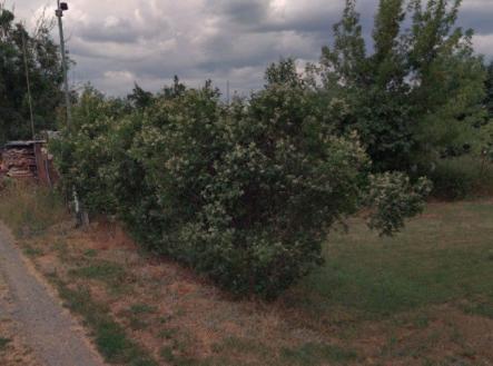 Prodej pozemku pro bydlení, 1 434 m²