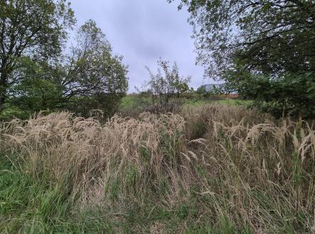 Prodej pozemku pro bydlení, 1 297 m²