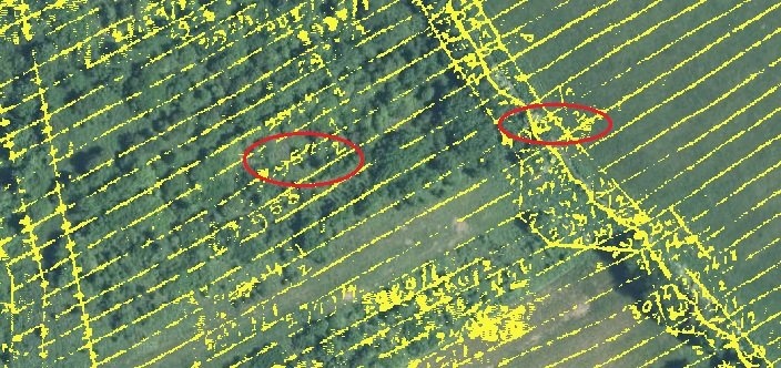 KN Zbytky map.list 4 - par. 2965_2 a 2964_2