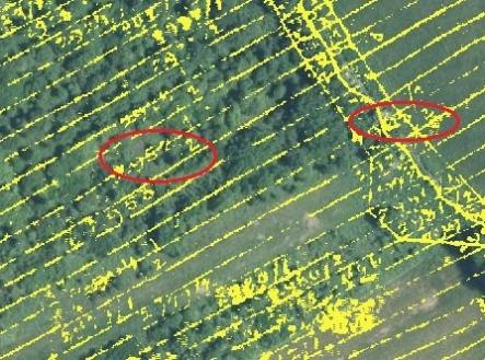 Prodej pozemku, zemědělská půda, 15 294 m²