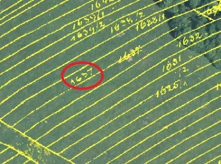 Prodej pozemku, zemědělská půda, 15 294 m²