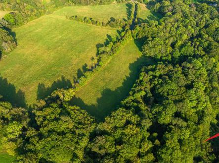 Prodej - pozemek, trvalý travní porost, 22 174 m²