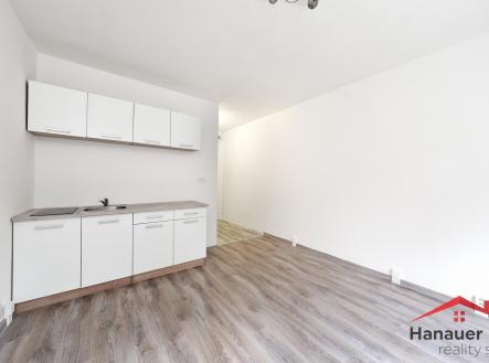 Prodej bytu, 1+kk, 20 m²