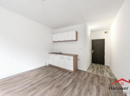 Prodej bytu, 1+kk, 20 m²